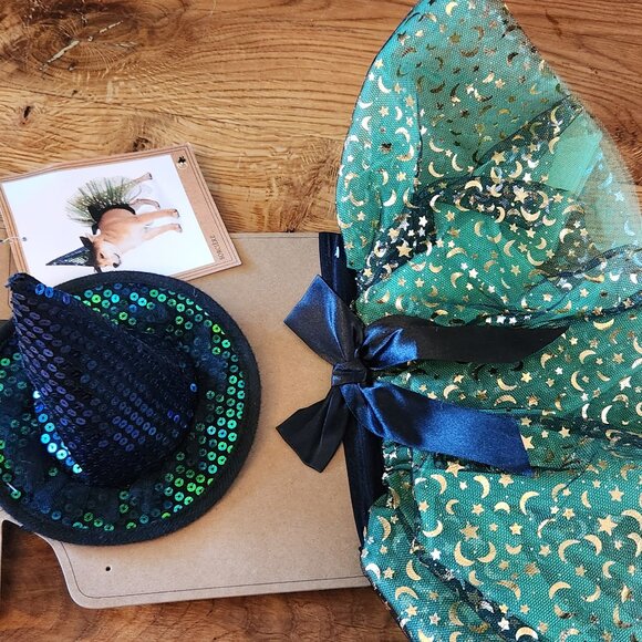 L/LG Dog Sparkly Witch costume - Picture 2 of 5